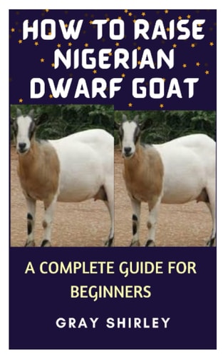 How to Raise Nigerian Dwarf Goat A Complete Guide for Beginners