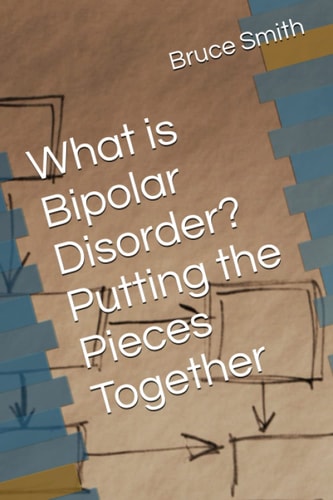 What is Bipolar Disorder? Putting the Pieces Together