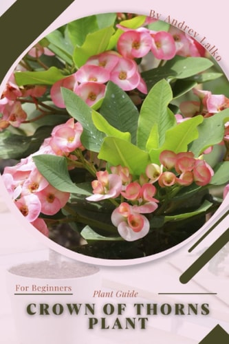 Crown of Thorns Plant Plant Guide