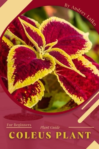 Coleus Plant Plant Guide