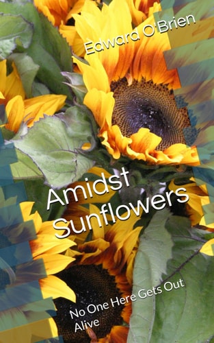 Amidst Sunflowers No One Here Gets Out Alive