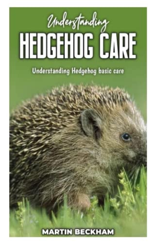 Understanding Hedgehog Care Understanding Hedgehog Basic Care