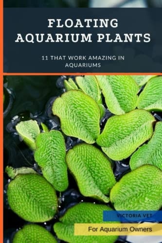 Floating Aquarium Plants 11 That Work Amazing in Aquariums