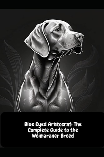 Blue Eyed Aristocrat The Complete Guide to the Weimaraner Breed