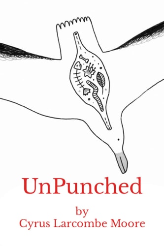 UnPunched