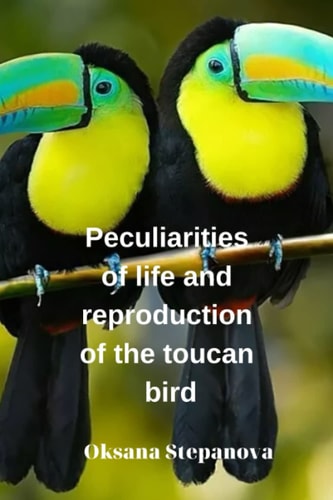 Peculiarities of Life and Reproduction of the Toucan Bird