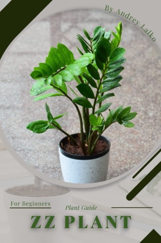 ZZ Plant Guide