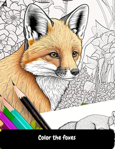 Color the Foxes
