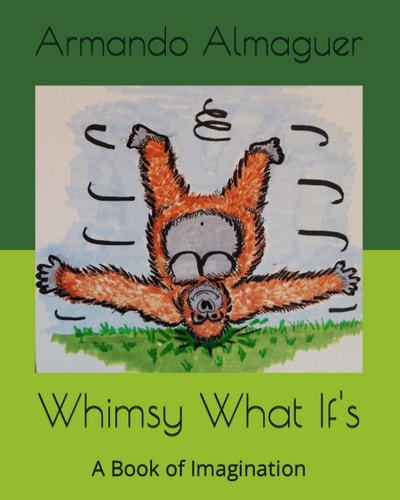 Whimsy What If's A Book of Imagination