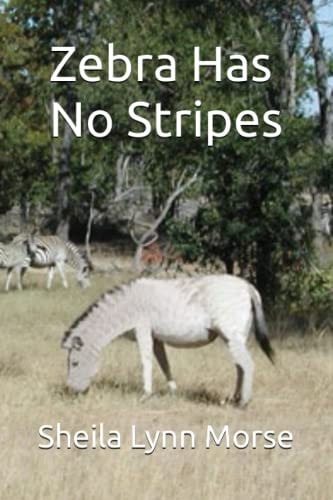 Zebra Has No Stripes