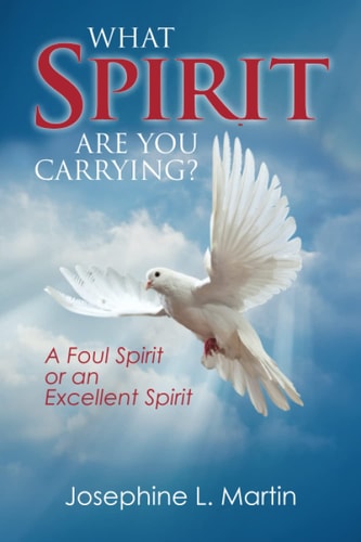 What Spirit are You Carrying? A Foul Spirit Or an Excellent Spirit