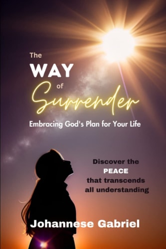 The Way of Surrender Embracing God's Plan for Your Life