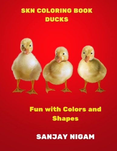 Skn Coloring Book Ducks Fun with Colors and Shapes