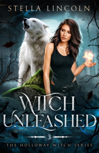 Witch Unleashed The Holloway Witch Series
