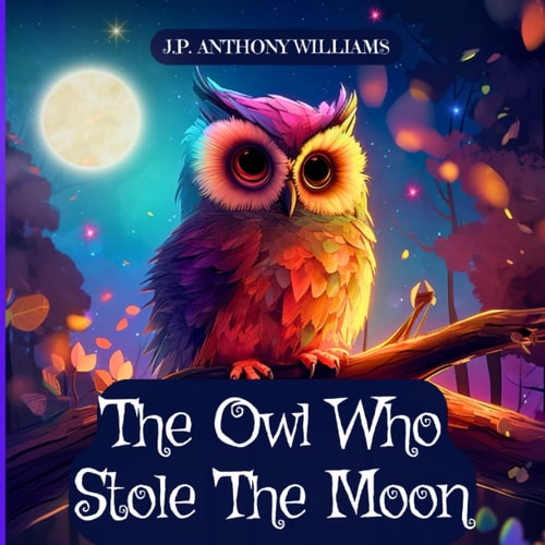 The Owl Who Stole The Moon A Children's Book about Friendship and Forgiveness