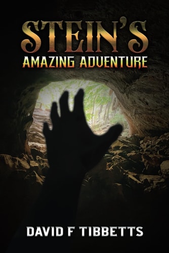Stein's Amazing Adventure