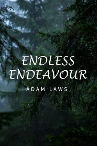 Endless Endeavour