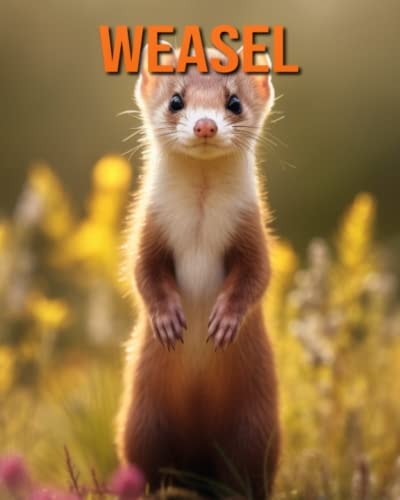 Weasel Fun Facts Book for Kids with Amazing Photos