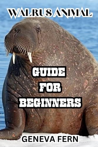Walrus Animal Guide for Beginners