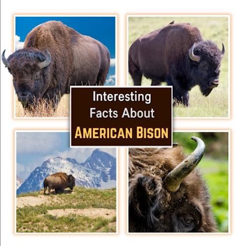 Interesting Facts about American Bison Learn About the Bison with Picture Book for Children