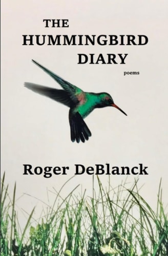 The Hummingbird Diary
