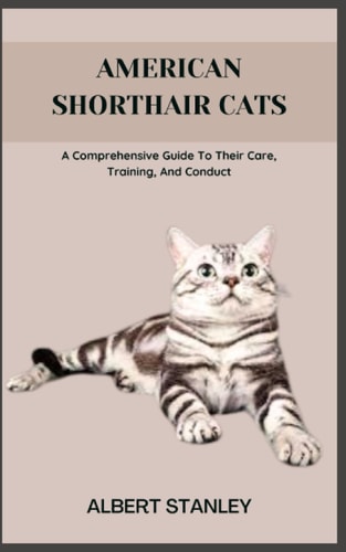 American Shorthair Cats A Comprehensive Guide To Their Care, Training, And Conduct