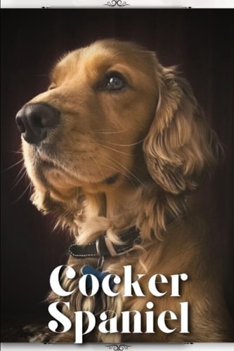 Cocker Spaniel Dog Breed Overview and Guide
