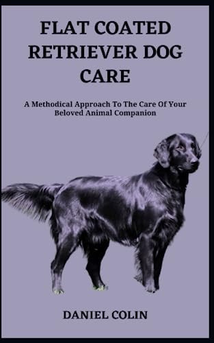 Flat Coated Retriever Dog Care A Methodical Approach To The Care Of Your Beloved Animal Companion