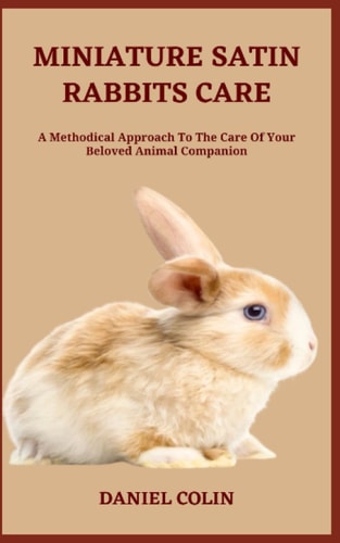 Miniature Satin Rabbits Care A Methodical Approach To The Care Of Your Beloved Animal Companion