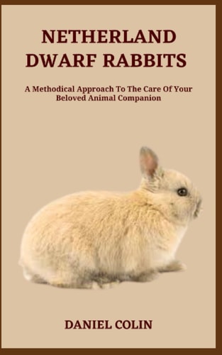 Netherland Dwarf Rabbits A Methodical Approach To The Care Of Your Beloved Animal Companion