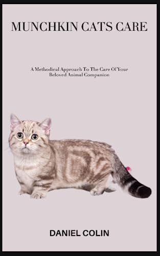 Munchkin Cats Care A Methodical Approach To The Care Of Your Beloved Animal Companion