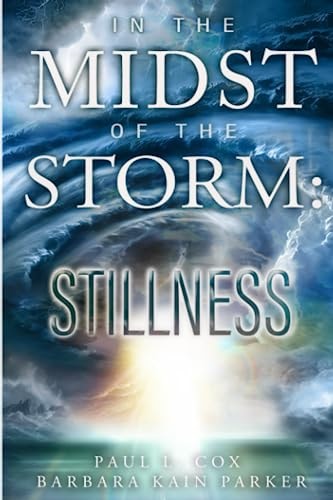 In the Midst of the Storm Stillness