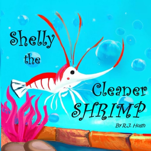 Shelly the Cleaner Shrimp