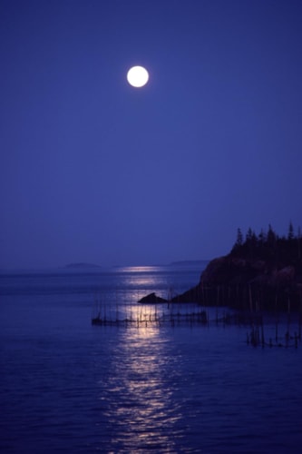 Poetry of Life and Love Reflections of a Southern Man