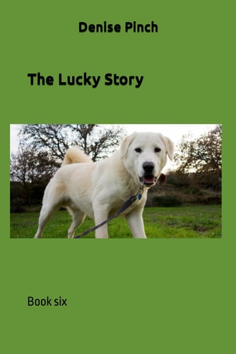 The Lucky Story Book Six
