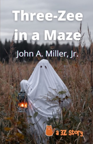 Three-Zee in a Maze