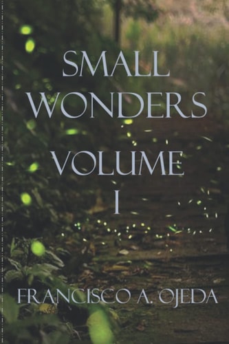 Small Wonders I