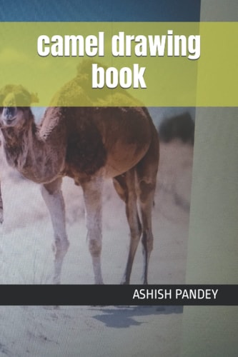 Camel Drawing Book