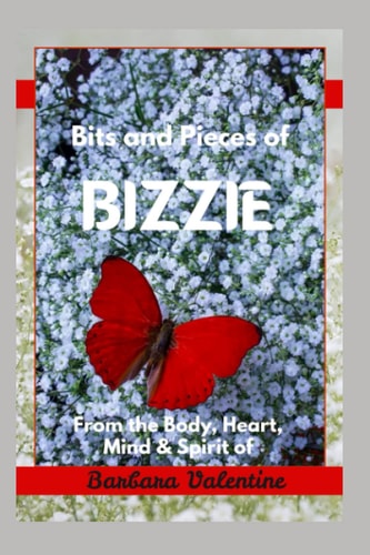 Bits and Pieces of Bizzie