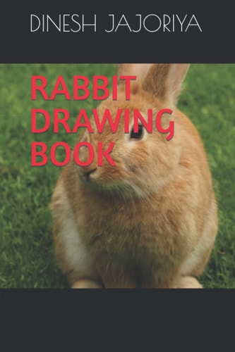 Rabbit Drawing Book