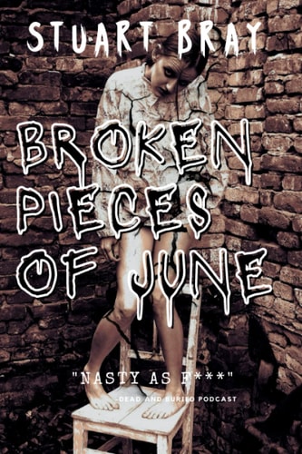 Broken Pieces of June