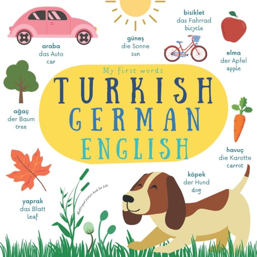 My First Words Turkish German English Multilingual Picture Book For Kids Türkçe Almanca İngilizce Çocuklar İçin Resimli Kitap