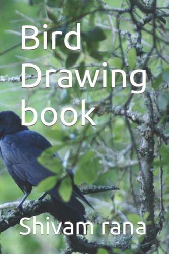 Bird Drawing Book