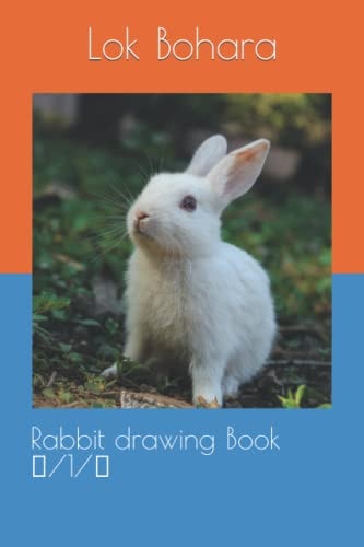 Rabbit Drawing Book