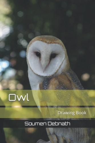 Owl Drawing Book