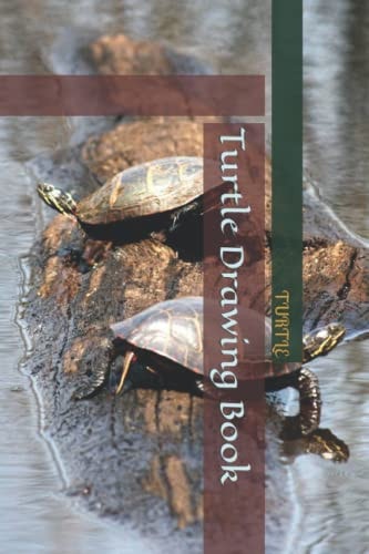Turtle Drawing Book