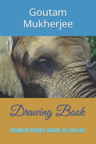 Drawing Book Elephant Picture Colour as You Like