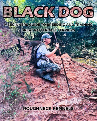 Black Dog A Beginners Guide to Breeding and Training Great Patterdale Terriers