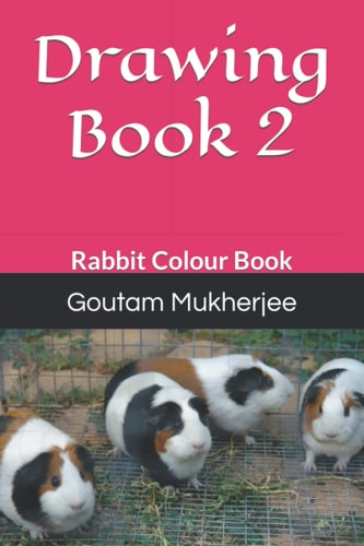 Drawing Book 2 Rabbit Colour Book