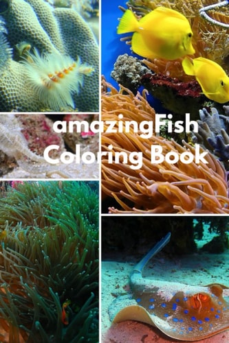 Amazing Fish Coloring Book For Kids Ages 2-6 Sea Animals Ocean Creatures Great and Small Fish, and Big Undersea Adventure. : 6inchx9inch 99 Pages, White Paper, Coloring Book.